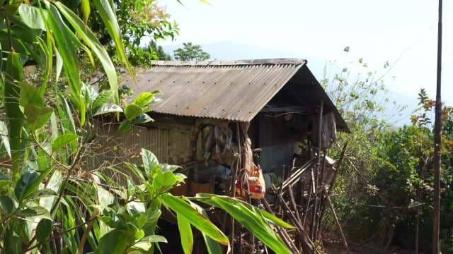 Rustic Wooden House Amid Lush Greenery in Kongthong Village, Meghalaya