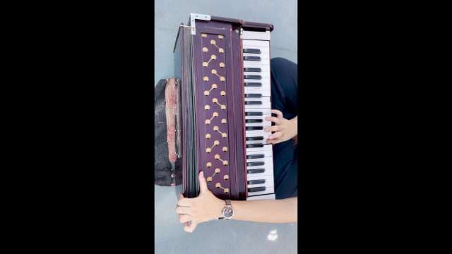 Musician Playing Traditional Indian Harmonium Musical Instrument