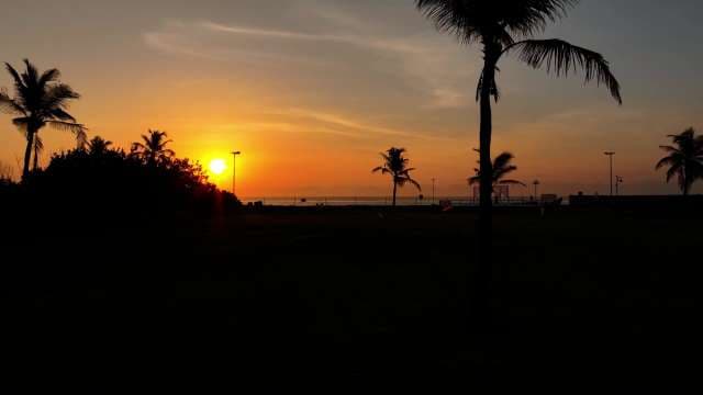 Tropical Sunset with Palm Tree Silhouettes over Ocean Horizon