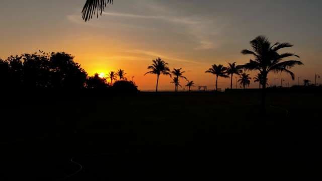Tropical Sunset with Palm Tree Silhouettes