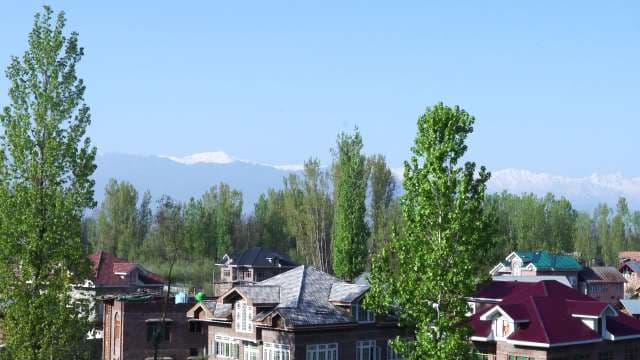 Scenic Village View with Snow-Capped Himalayan Mountains in Kashmir