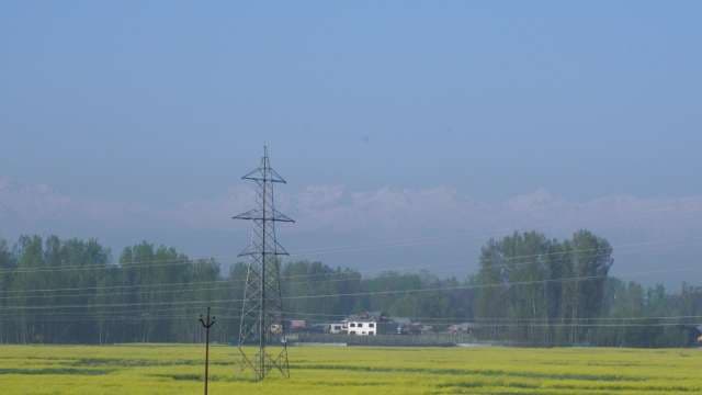 Power Tower Over Yellow Mustard Fields and Distant Mountains