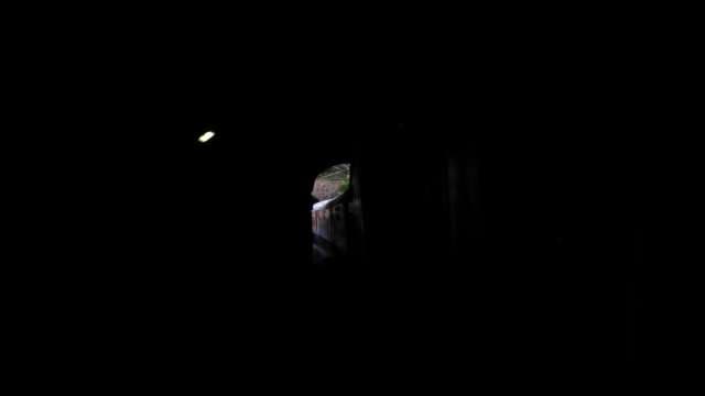 Train Moving Through Dark Railway Tunnel in Cinematic High Contrast
