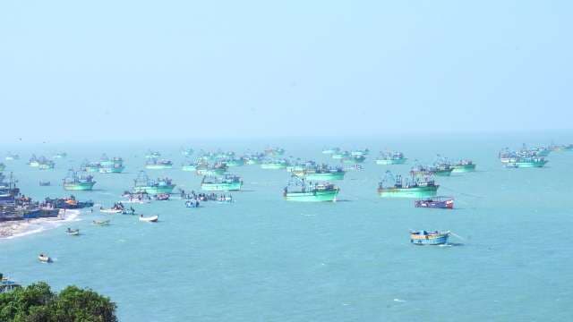 Large Fleet of Green Fishing Boats Anchored in Calm Blue Sea