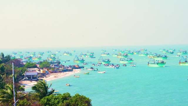 Colorful Fishing Boats Anchored Near Tropical Coastline in India